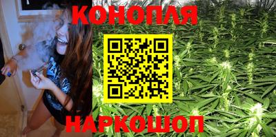 apvp Нальчик
